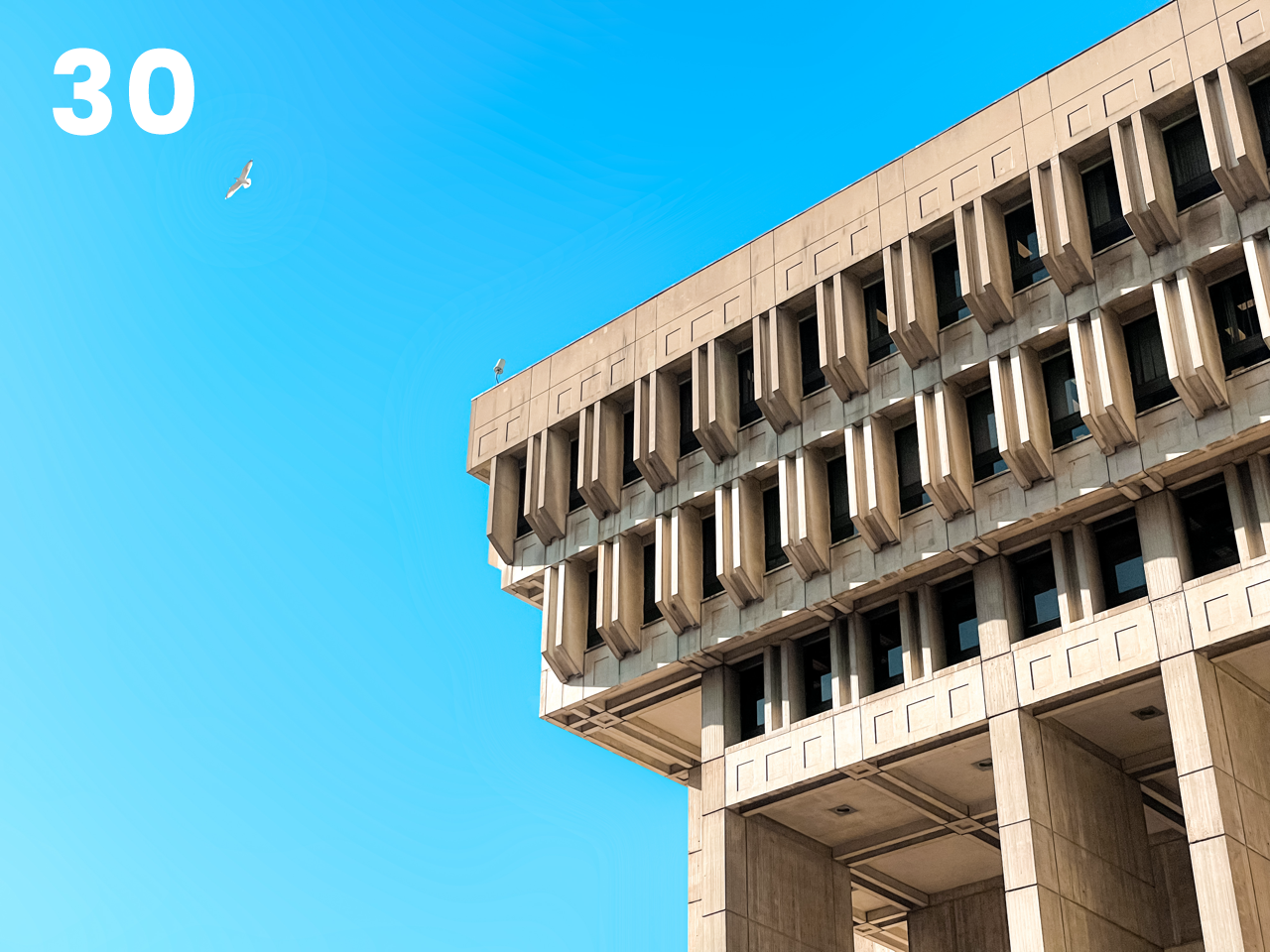 30 - govt center Large.png