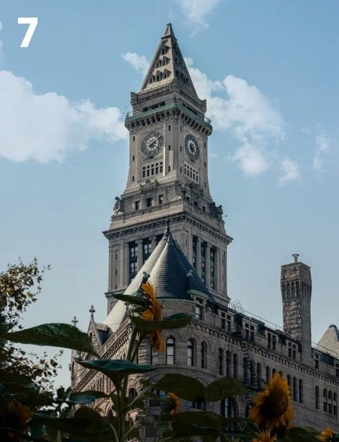 7 - CUSTOM HOUSE SUNFLOWER Large Medium.jpeg