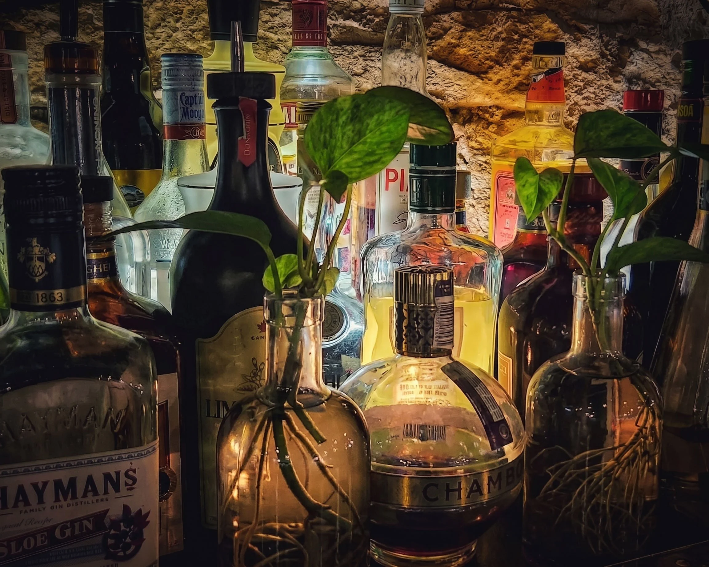 Apothecary-potions-cocktails-plants-herbology.JPEG