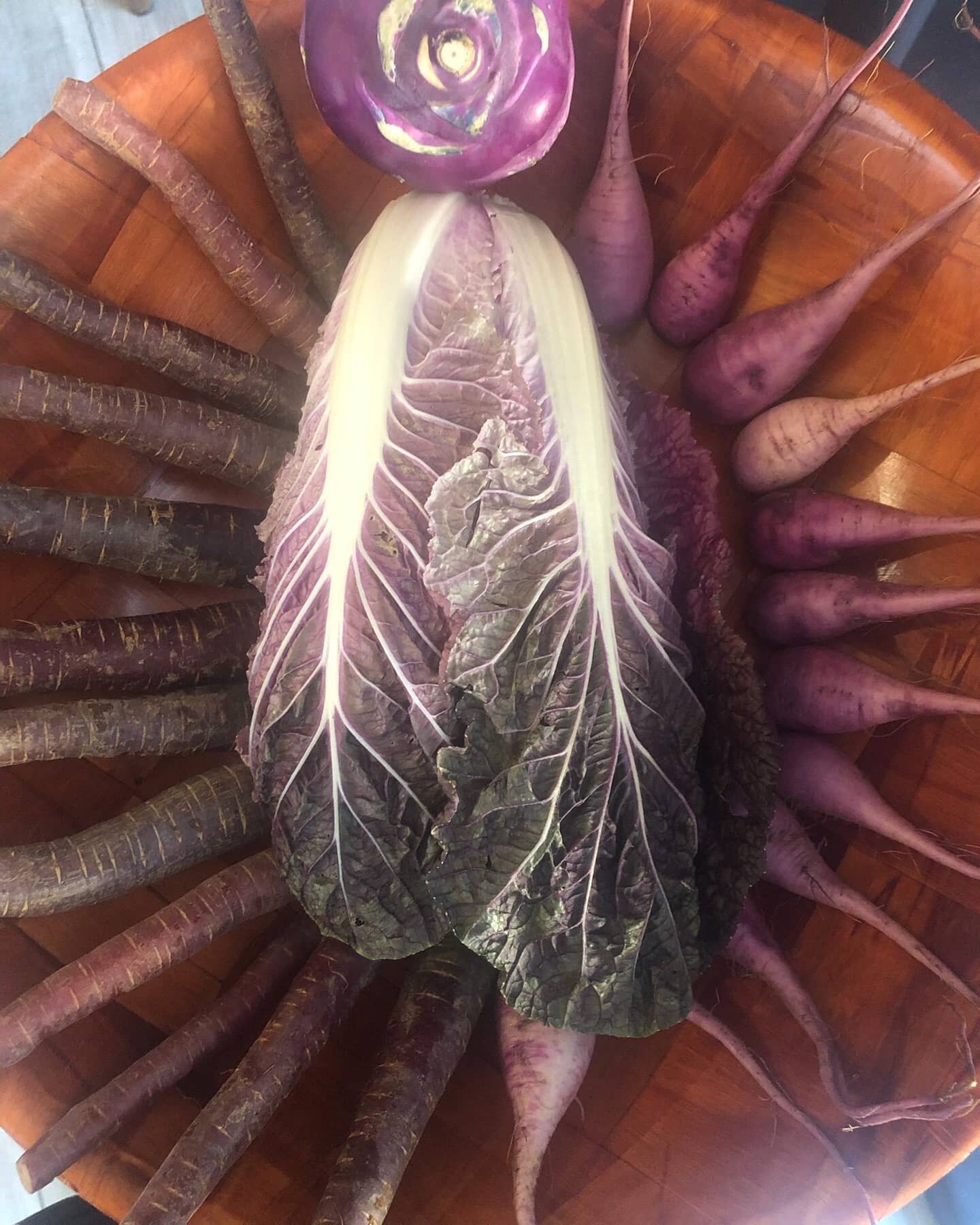Happy Friday PasaPasa Family 💜
Wishing byou all a lovely weekend 🥳🥳🥳

Feeling purple today . Purple kohlrabi, purple baby daikon, purple carrots, purple napa cabbage. 

Do like purple foods??

Purple fruits and vegetables are rich in anthocyanins