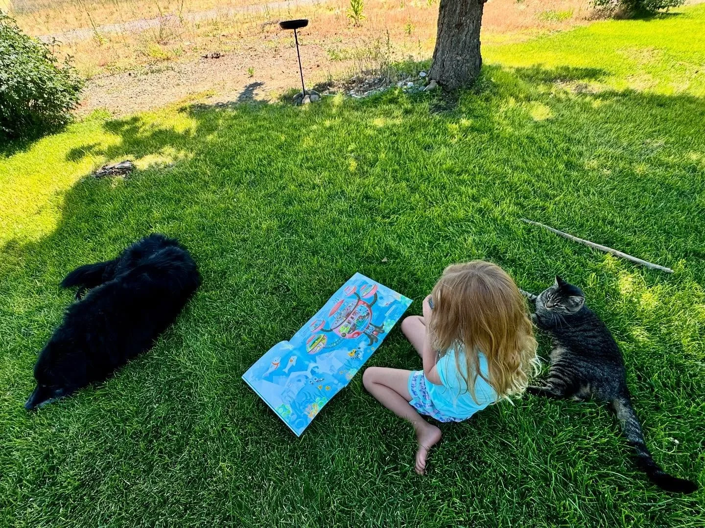 ✨Storytime squad goals: one book, one girl, one cat, one dog.💫
There&rsquo;s no better way to spend a summer afternoon than reading with your best furry friends.
📚🐾☀️ #HueysBooks #KidsWhoRead #StorytimeMagic #ReadOutside #HueysBooks4Kids