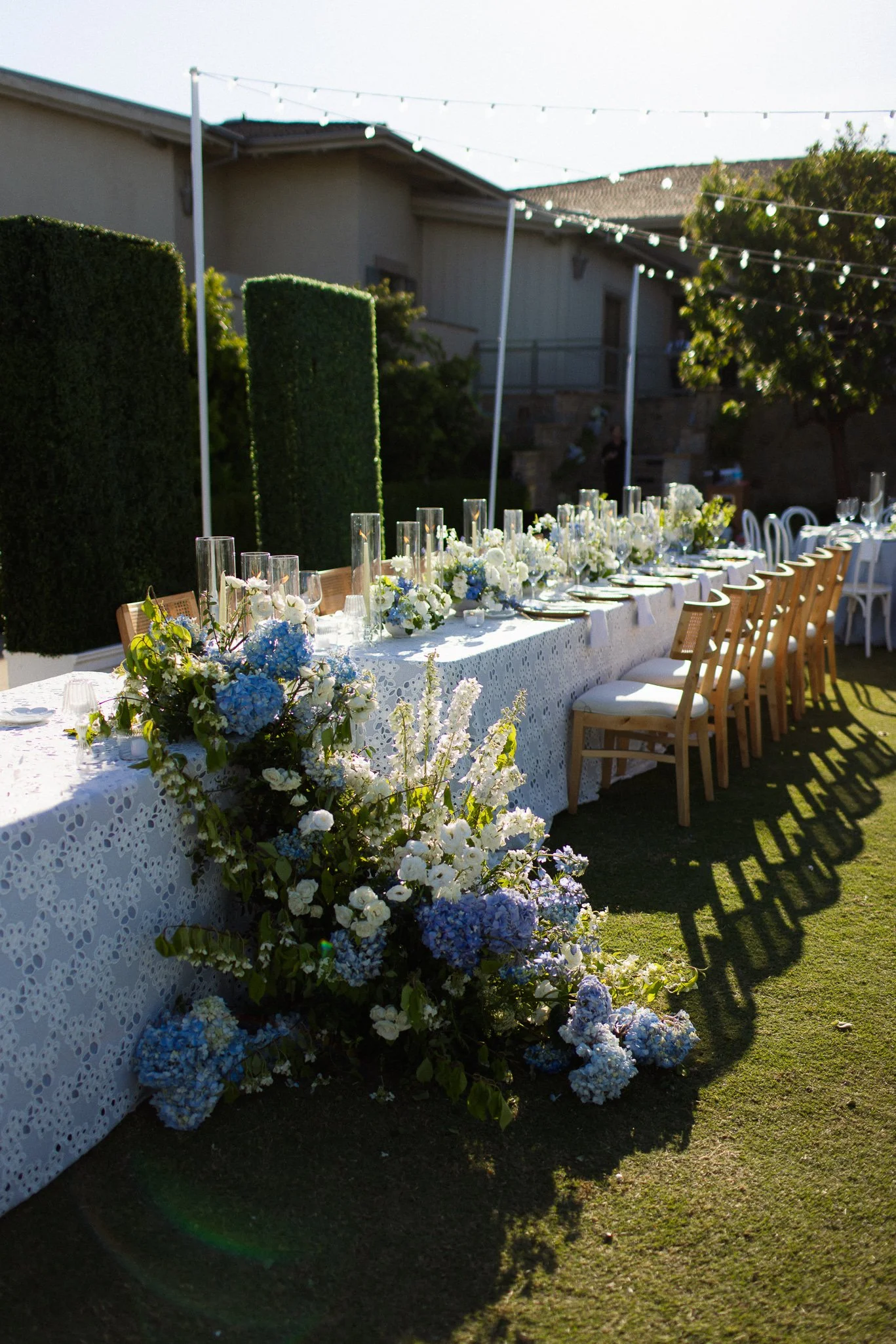 xlmphoto-100.jpg