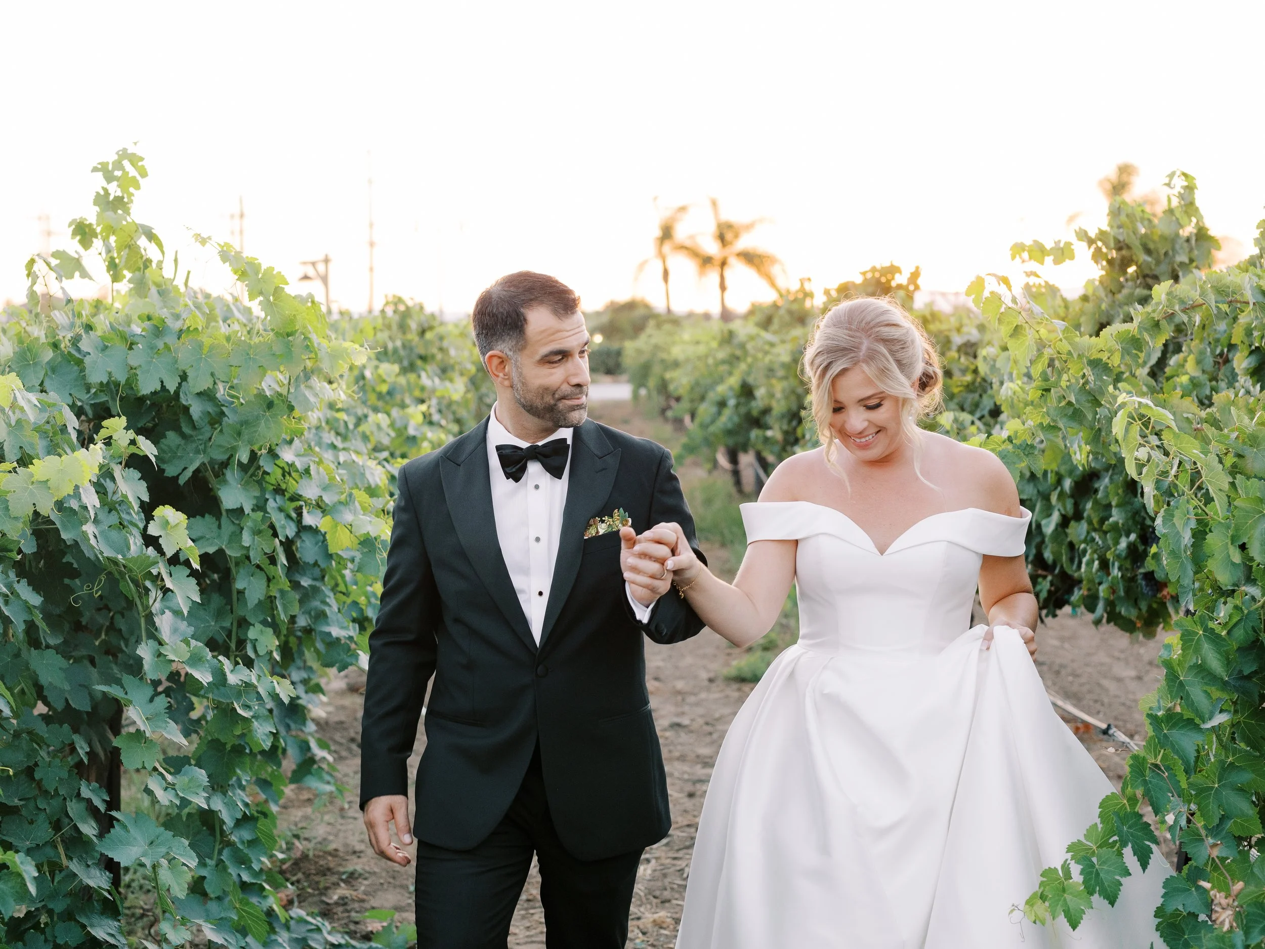 Bride and Groom frolic through the vineyards hand in hand with beautiful sunset in the background and vineyard surrounding them