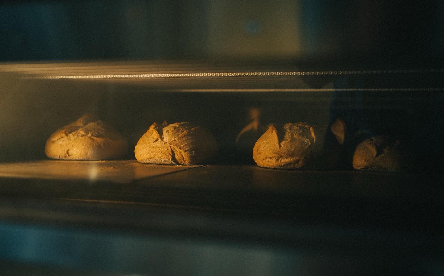 Dark and steamy #loafsauna #bakeituntillyoumakeit #sourdoughbread #landerwyoming #landerartdistrict @lincolnstreetbakery