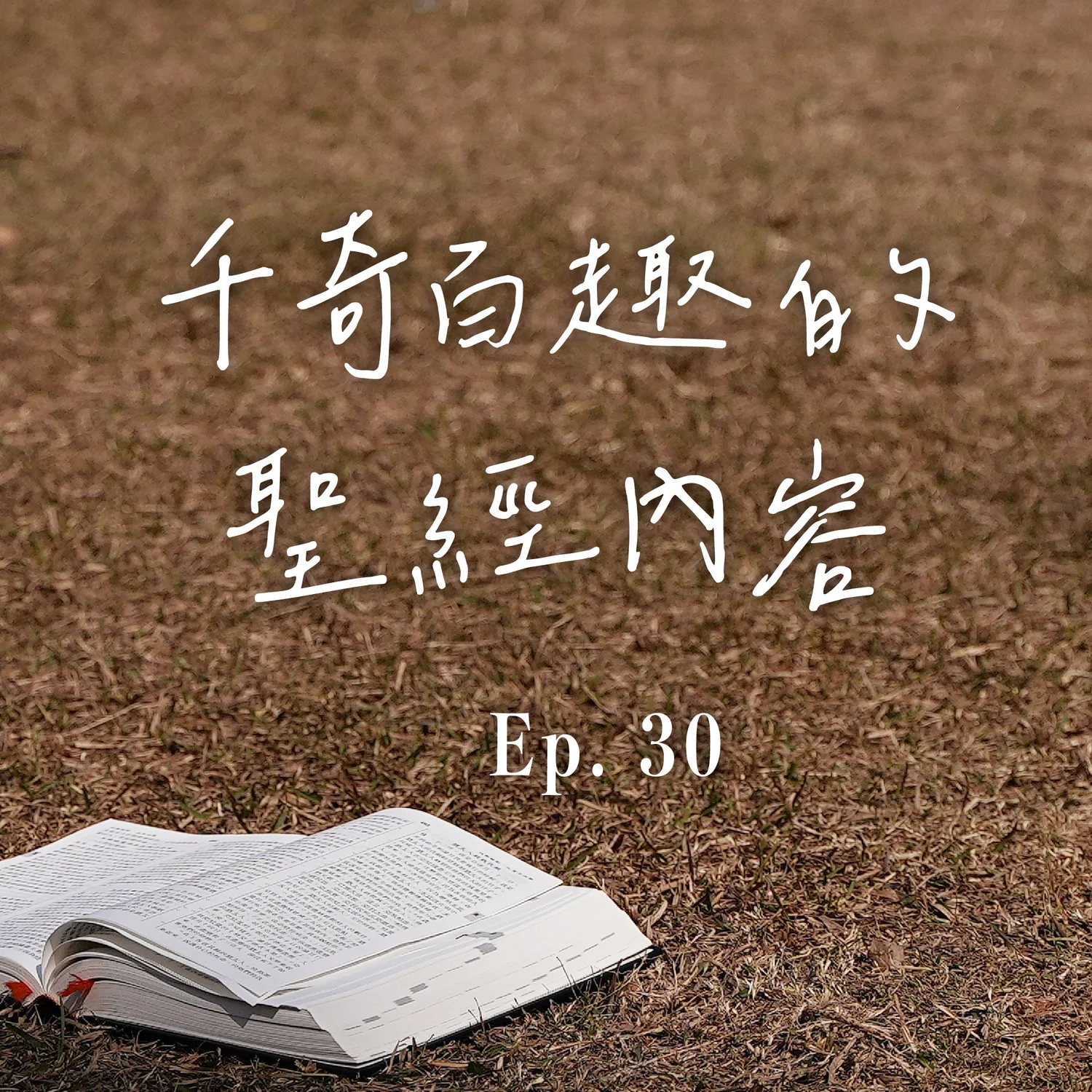 EP. 30 千奇百趣的聖經內容｜黃家浩傳道 episode artwork