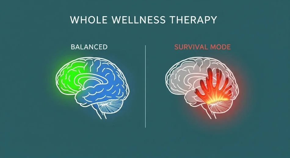 Clinical infographic comparing a balanced brain to a brain affected by chronic abuse, showing Amygdala hyper-reactivity and Prefrontal Cortex weakening.