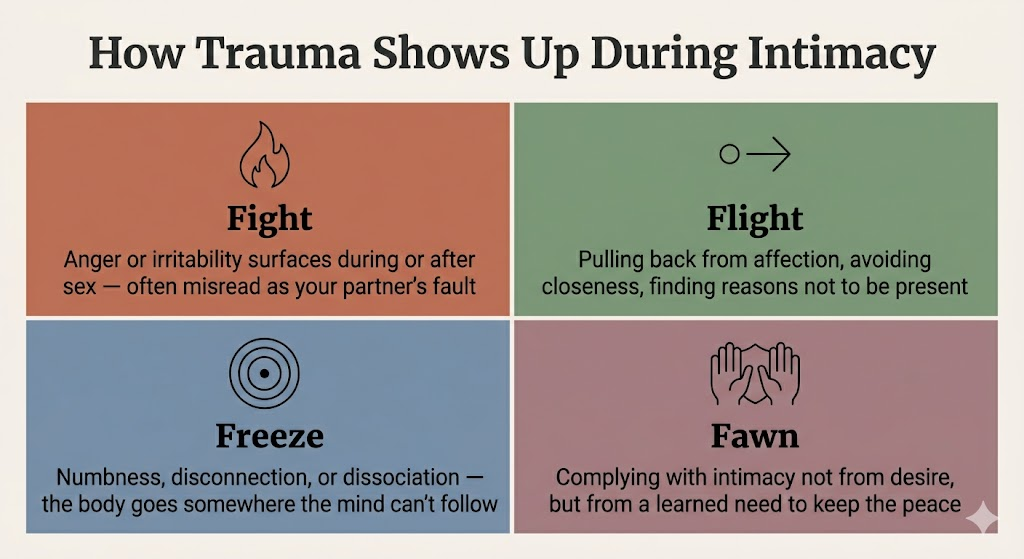 Infographic showing the four trauma responses during intimacy — Fight, Flight, Freeze, and Fawn — with behavioral examples for each, based on nervous system survival responses
