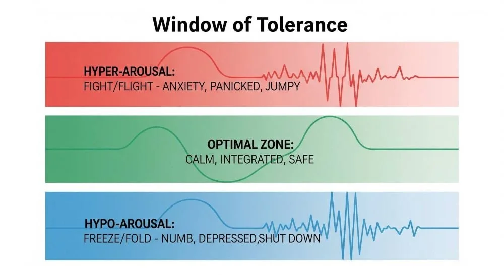 A clinical diagram of the Window of Tolerance framework used in trauma therapy to explain hyper-arousal, hypo-arousal, and nervous system regulation.