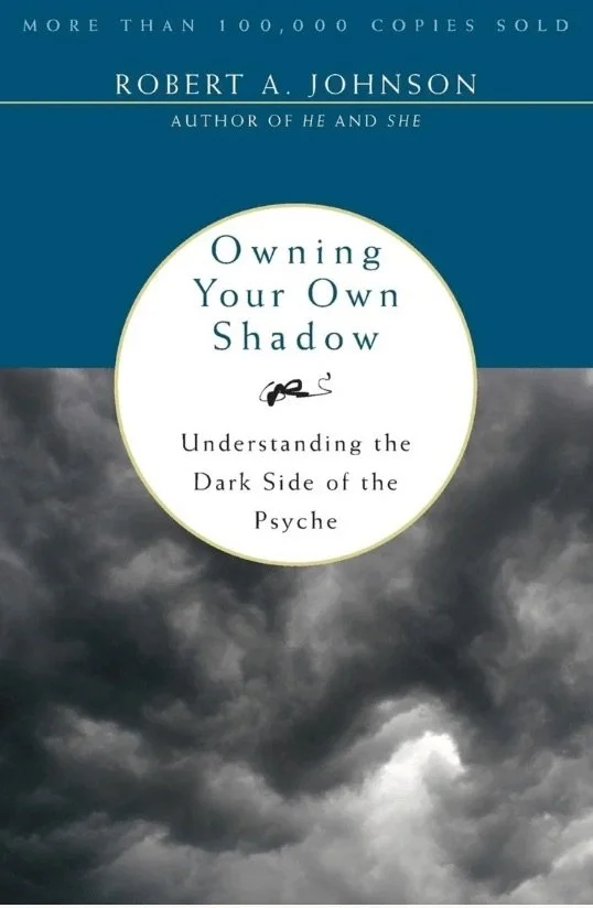 Book cover titled "Owning Your Own Shadow" by Robert A. Johnson, with a subtitle "Understanding the Dark Side of the Psyche," featuring a dark, cloudy sky background and text in white and blue.