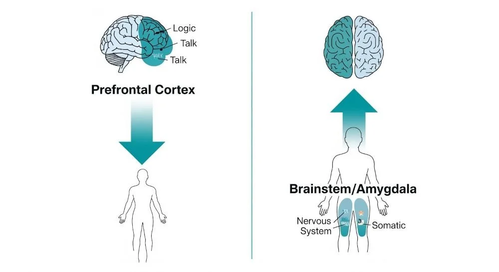 Diagram comparing Top-Down (Talk Therapy) versus Bottom-Up (Somatic/EMDR) therapeutic approaches for trauma.