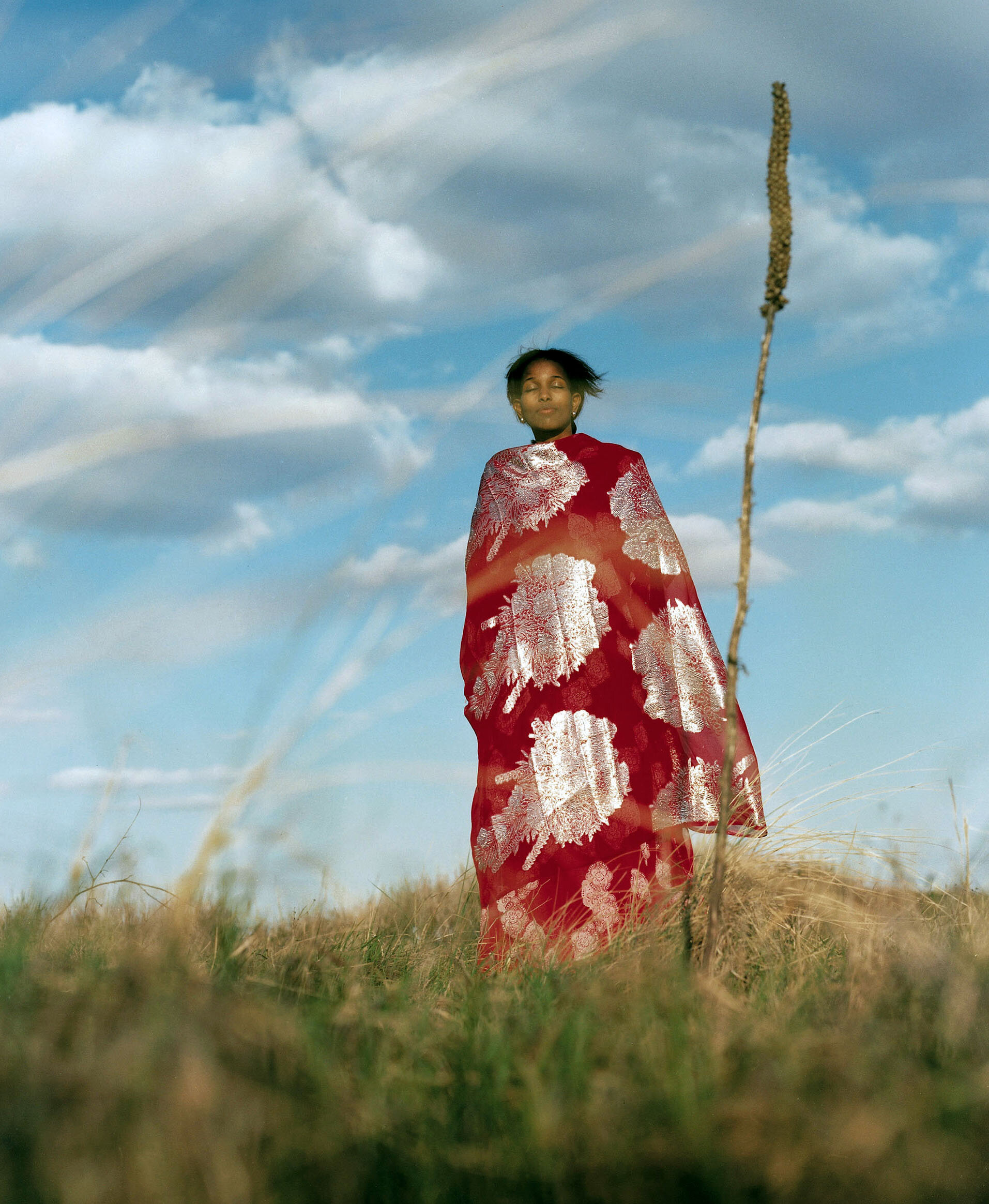 Hirsi+Ali_ex_2_K.jpg