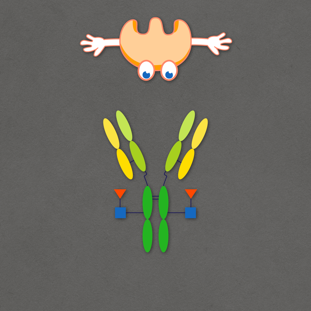GlycoT Therapeutics