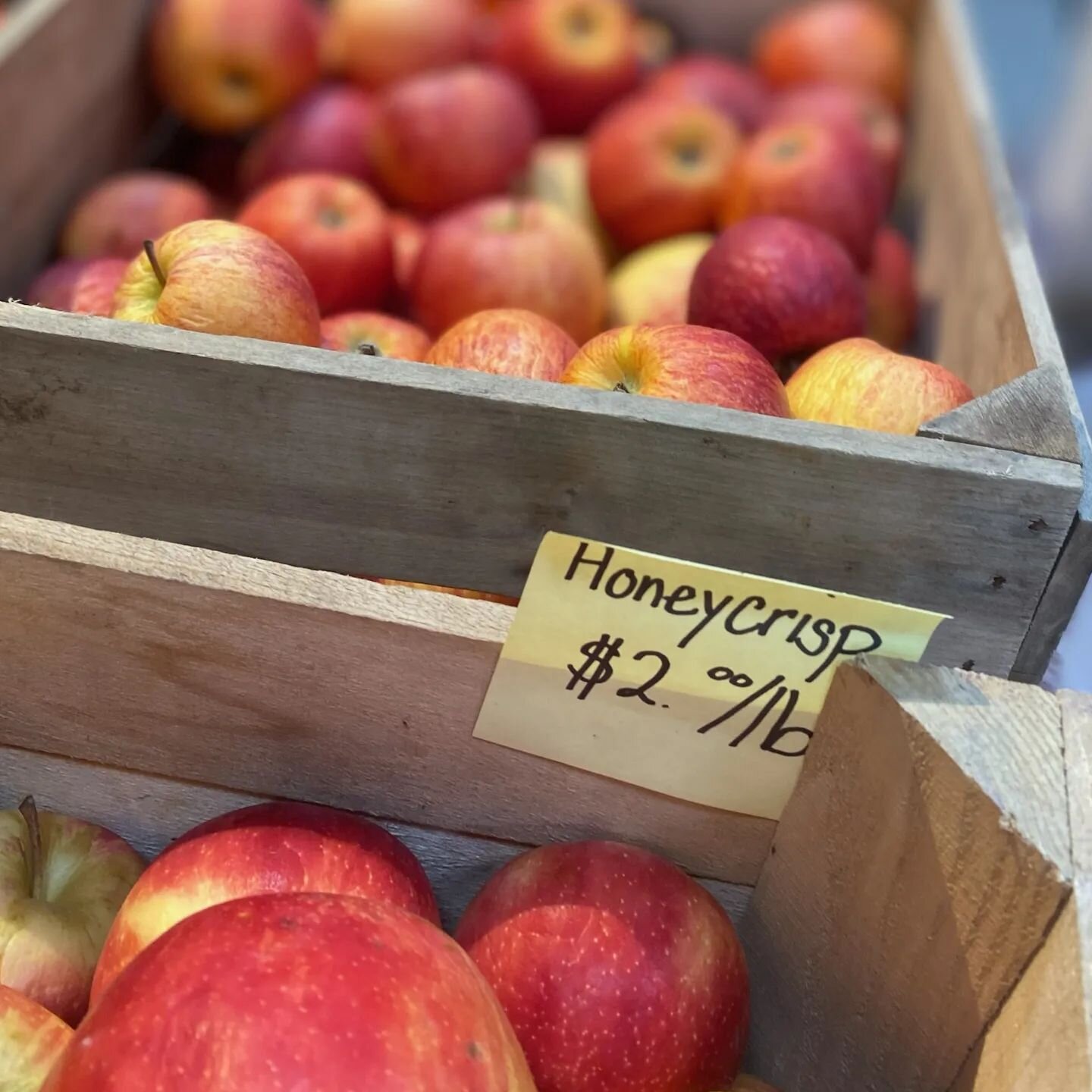 Pick up some apples today at the Market!

@middlefieldorchard