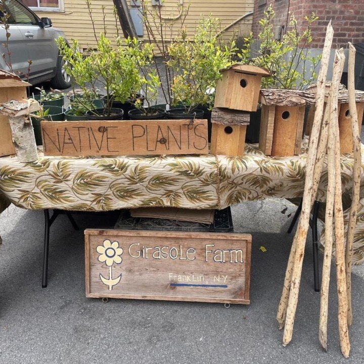 Girasole Farm will be at the Market this Saturday for the first time this year with bird houses and beaver walking sticks along with willows, wild black cherry trees, and (maybe) red osier dogwoods. 

Come chat about native plants with Bill from Gira
