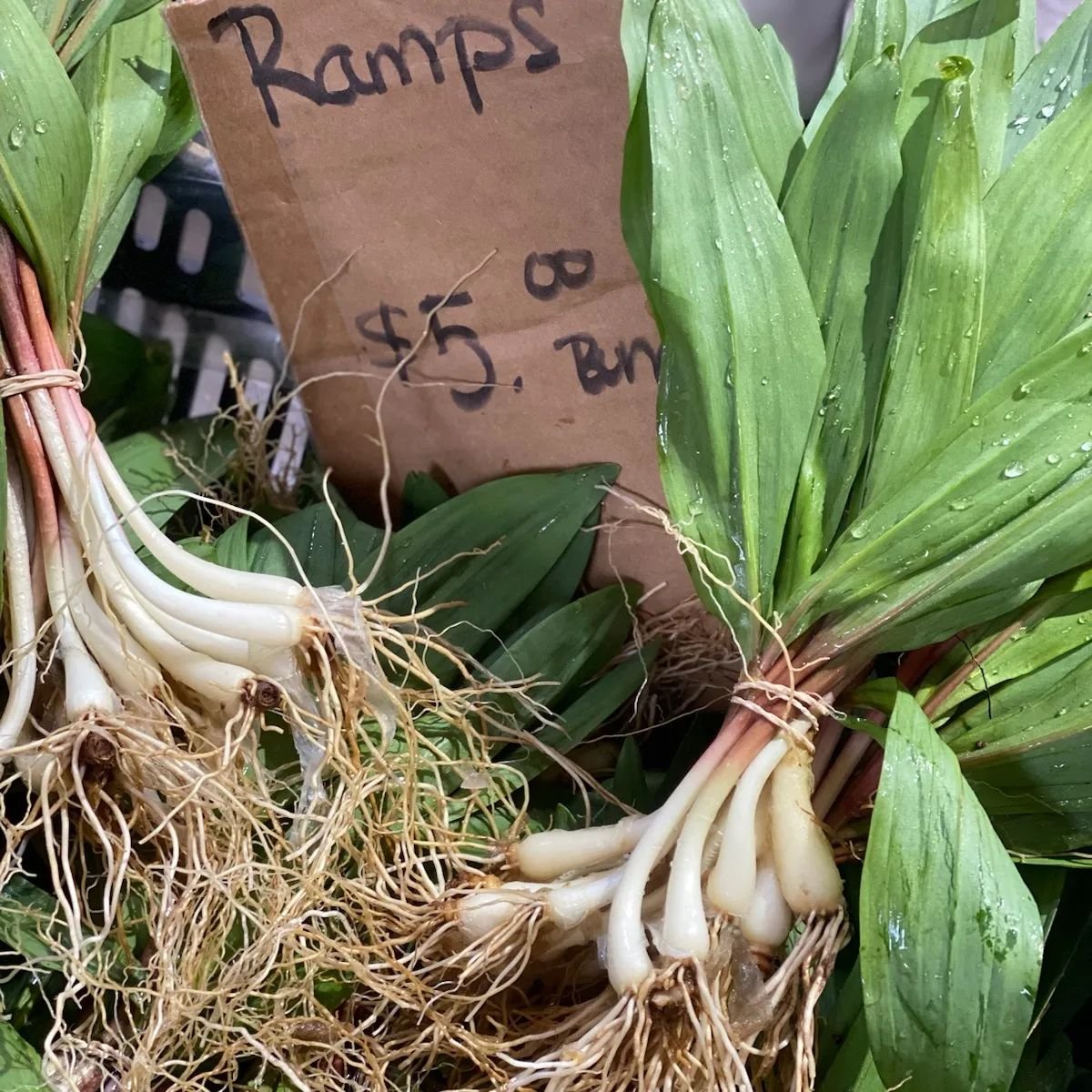 Ramps at the Market today! Add a delicious sign of spring to your next meal.

#ramps #farmersmarket #wegootsego