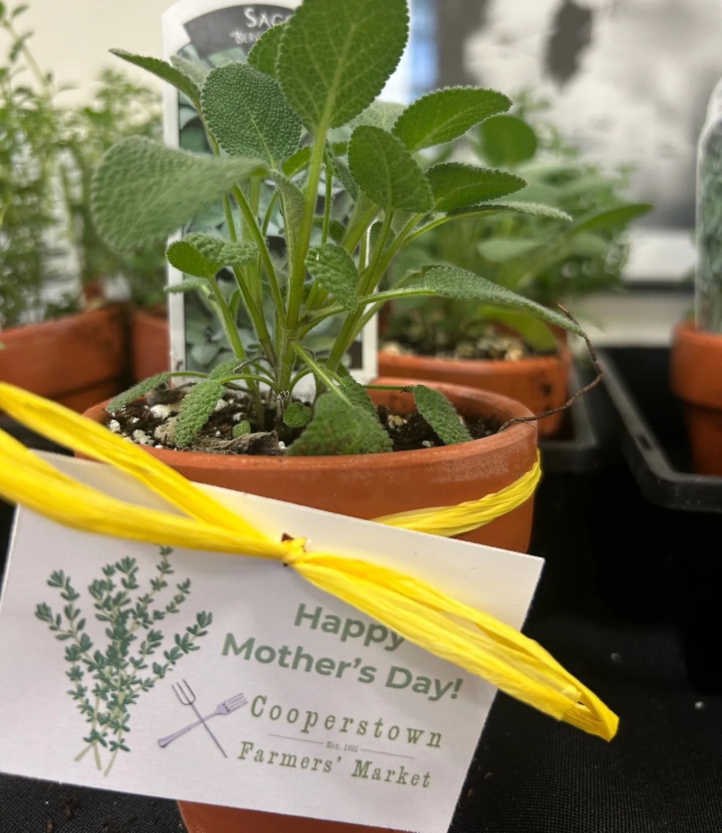 Shop the Market for Mother's Day and everyday! Remember we open at 9 am now, and we have a free gift for the first 50 Moms!
Herbs from ARK Floral 

#farmersmarket #giftsformom