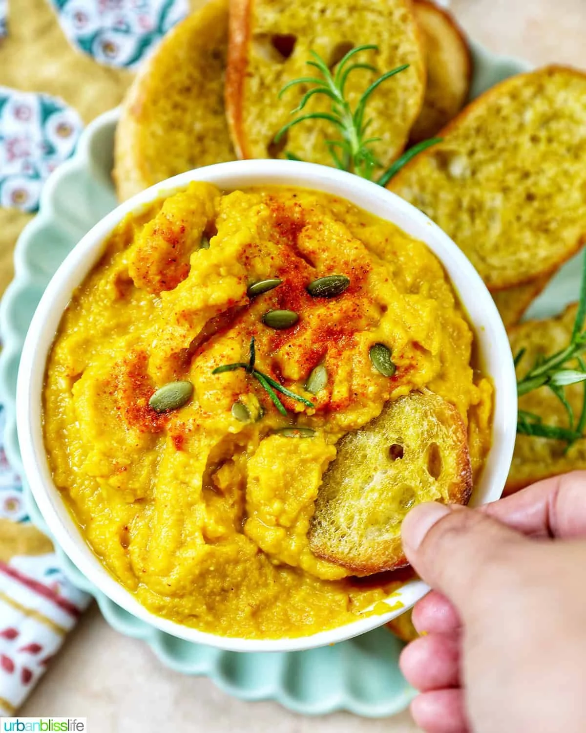 Yellow Squash Dip