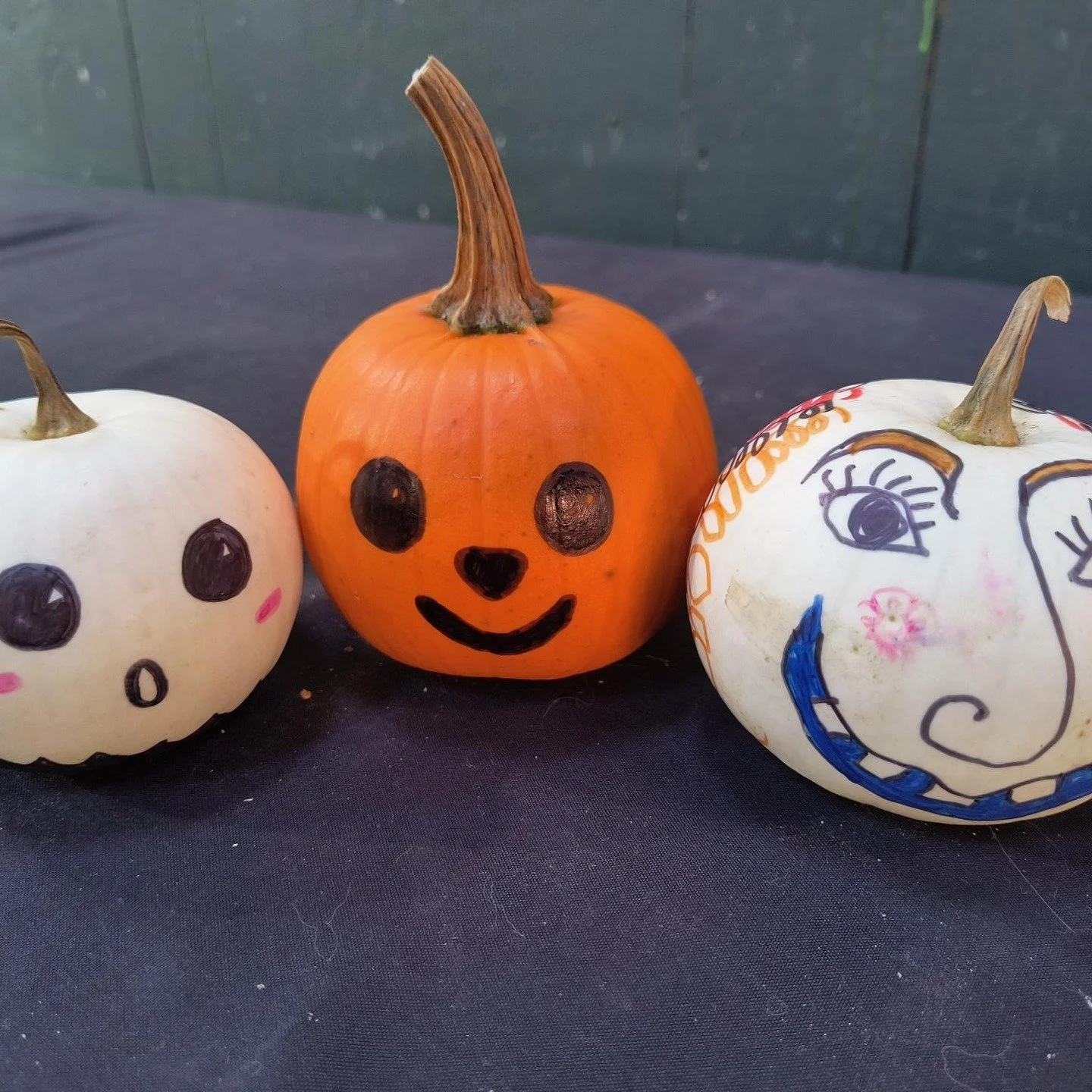 Saturday, October 4 is Pumpkin Day at the Farmers' Market with pumpkin decorating, pumpkin candles, handblown glass pumpkins, ceramic pumpkins, and well, pumpkins! Come celebrate pumpkins and all things fall! Music on the Market Stage with Will Walke