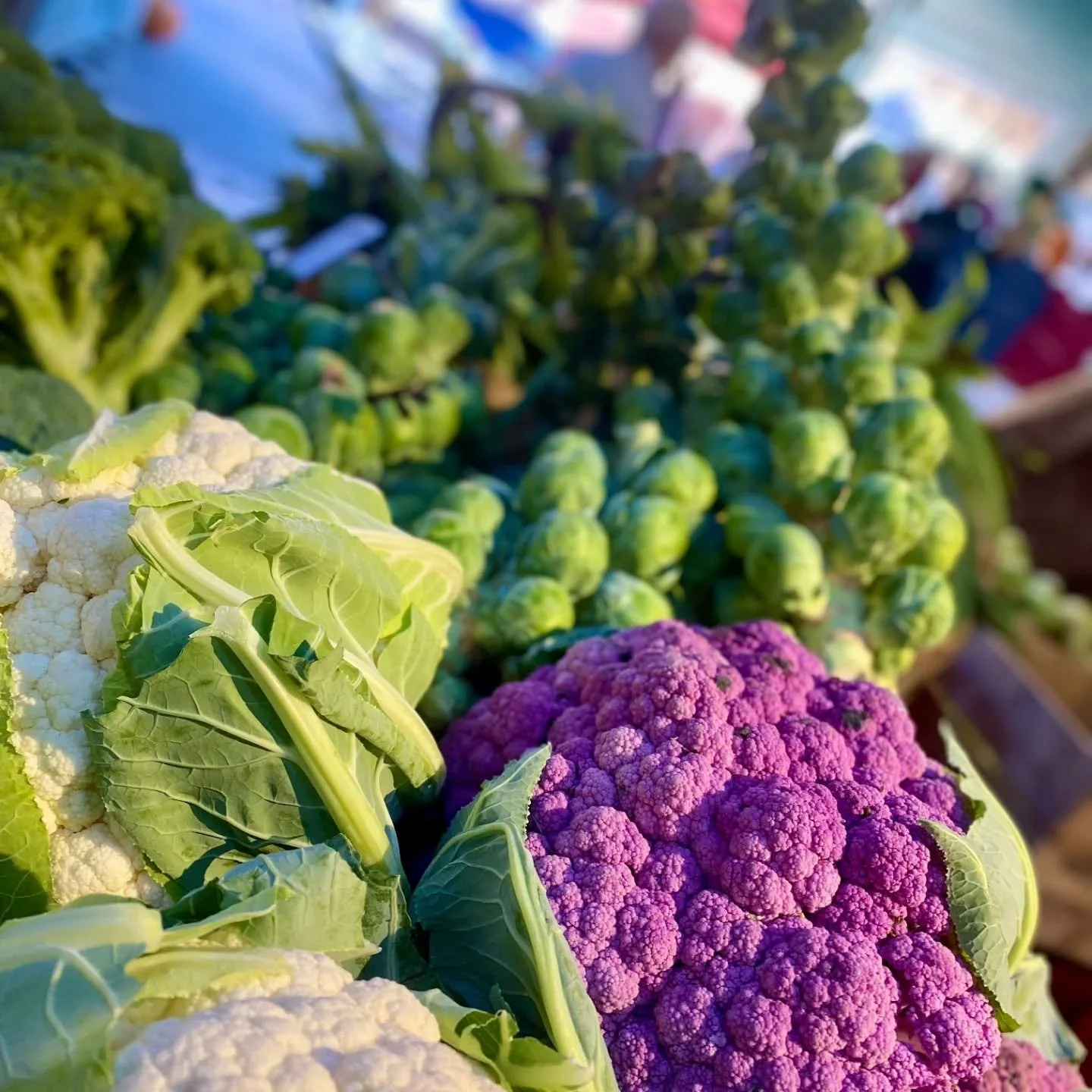 Farm fresh goodness today 9-2! Pumpkin painting for kids (free!) from 10 to noon

#cauliflower #brusselsprouts #farmfresh #farmersmarket #cooperstownfarmersmarket
