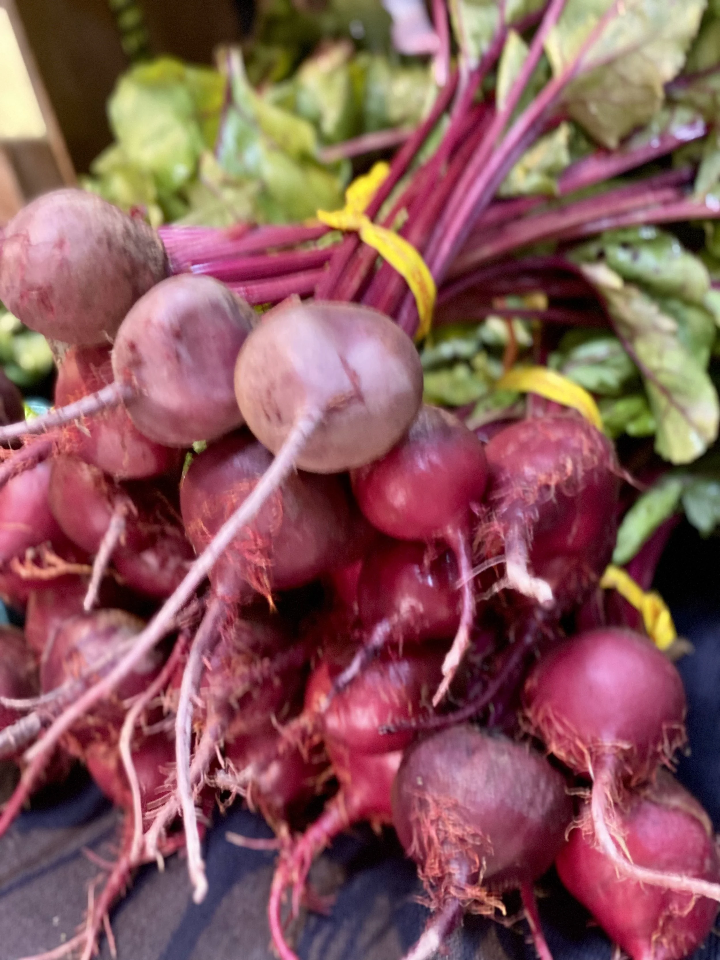 Cooperstown Farmers' Market 