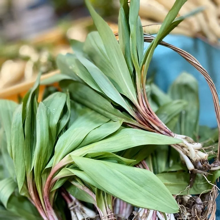 Ramps and even some asparagus will be at the Cooperstown Farmers' Market on Saturday. Come browse and shop from 29 local farmers and makers, enjoy music by Jim Kopp, and connect with neighbors. 

#ramps #cooperstownfarmersmarket #firstoftheseason #fa