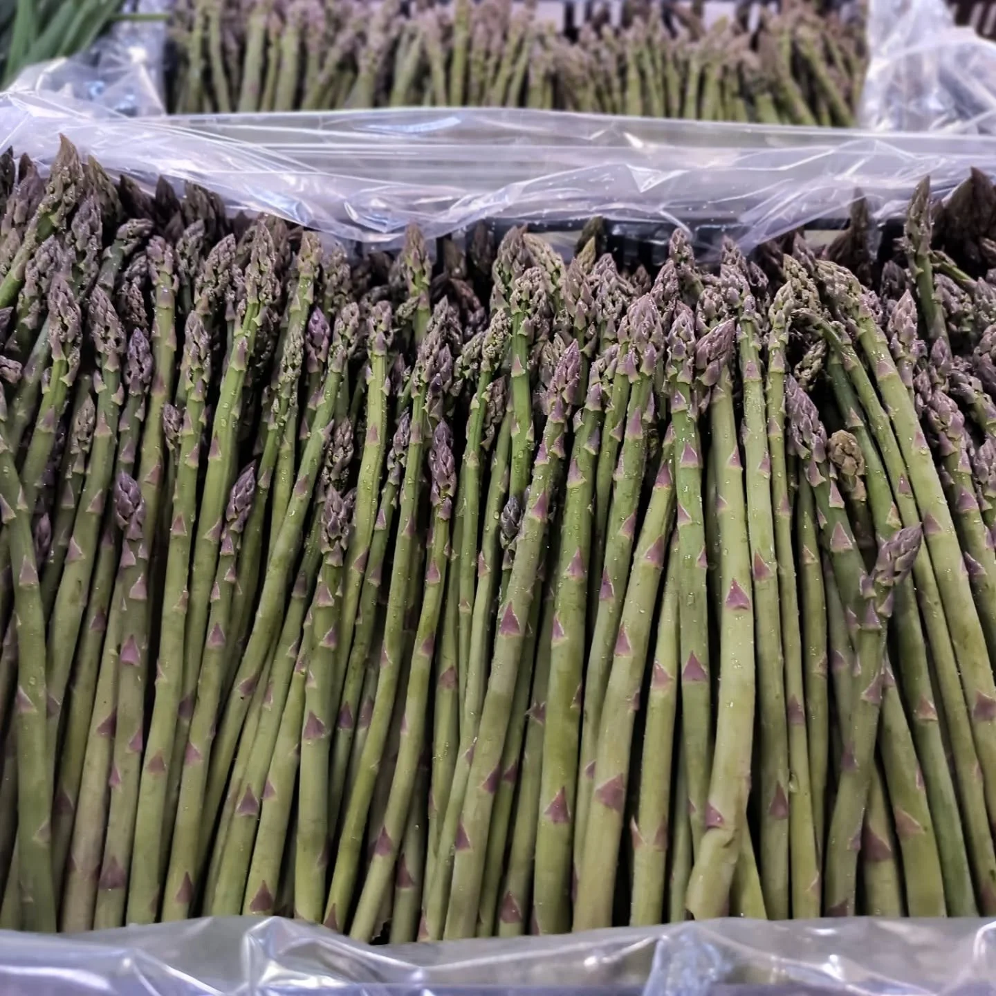 A beautiful day to come to the Farmers' Market!

#asparagus #radish #localfood #farmersmarket #cooperstownfarmersmarket