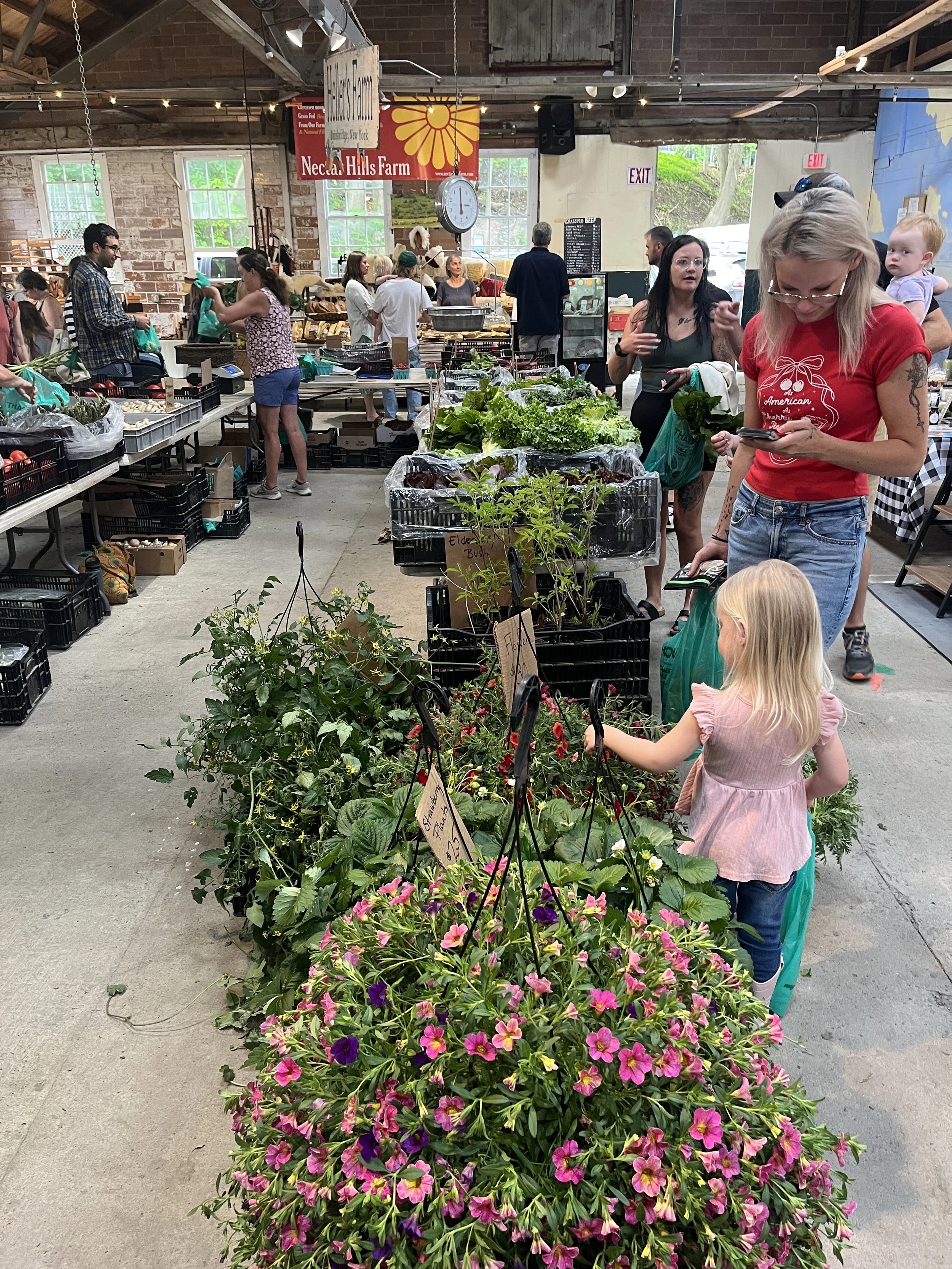 Cooperstown Farmers' Market 