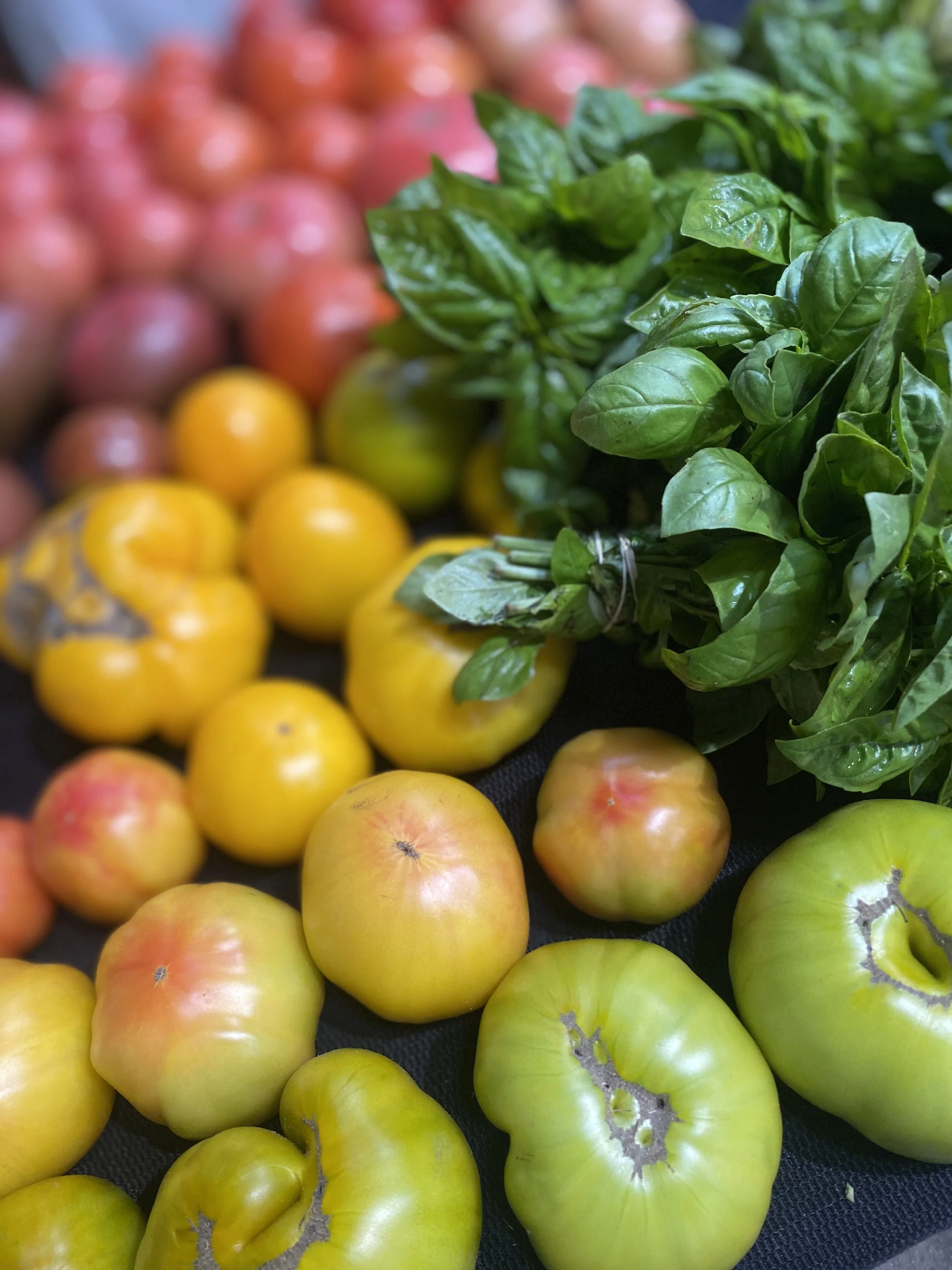 Cooperstown Summer Tuesday Farmers' Market 