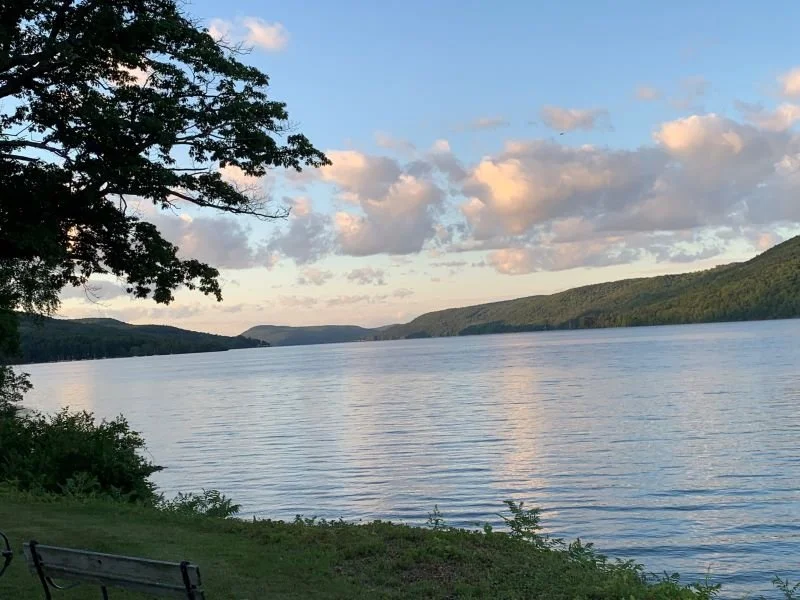 Sunny Leinhart