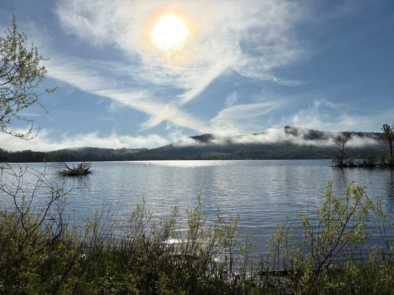 Shelby MacLeish, Cloud Mountains, taken at Goodyear Swamp Sanctuary on one of the rare sunny days this spring