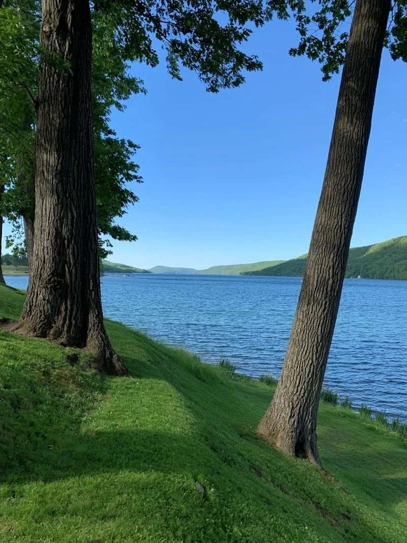 Franzi Kuhne, View from the Otesaga