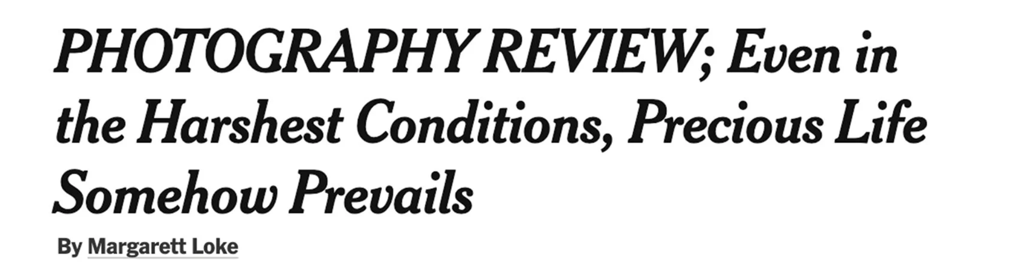 Screen Shot 2026-04-05 at 6.05.59 PM.png