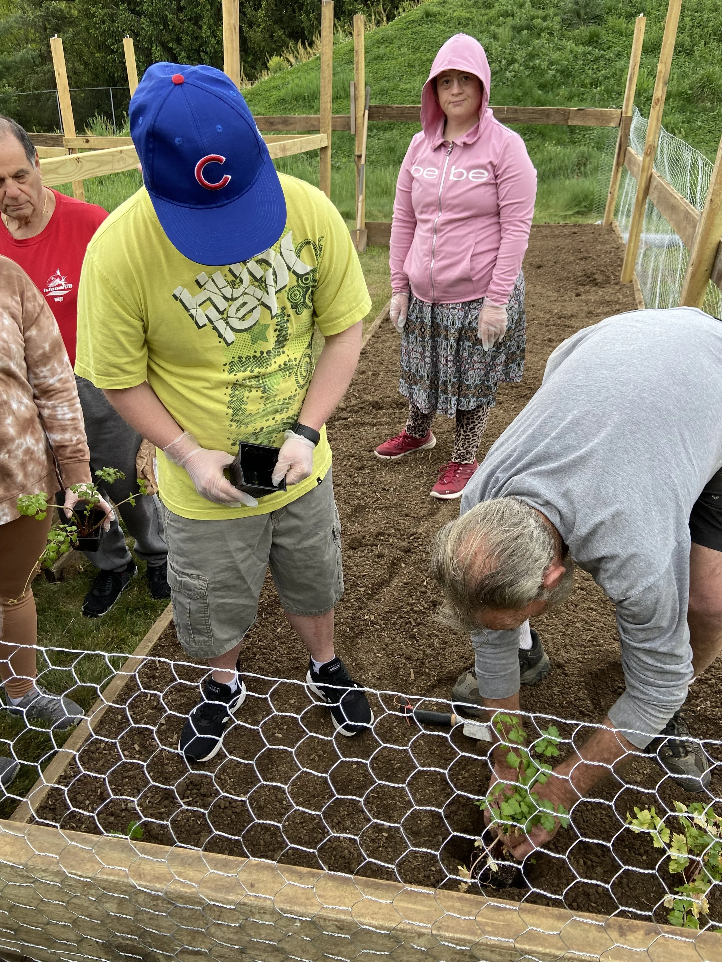 Group of people gardening in a fenced area; one person is planting a seedling.