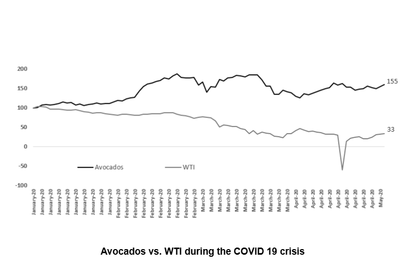 Portfolio diversification during the COVID 19 crisis: Preventing income shortfalls with avocado orchards
