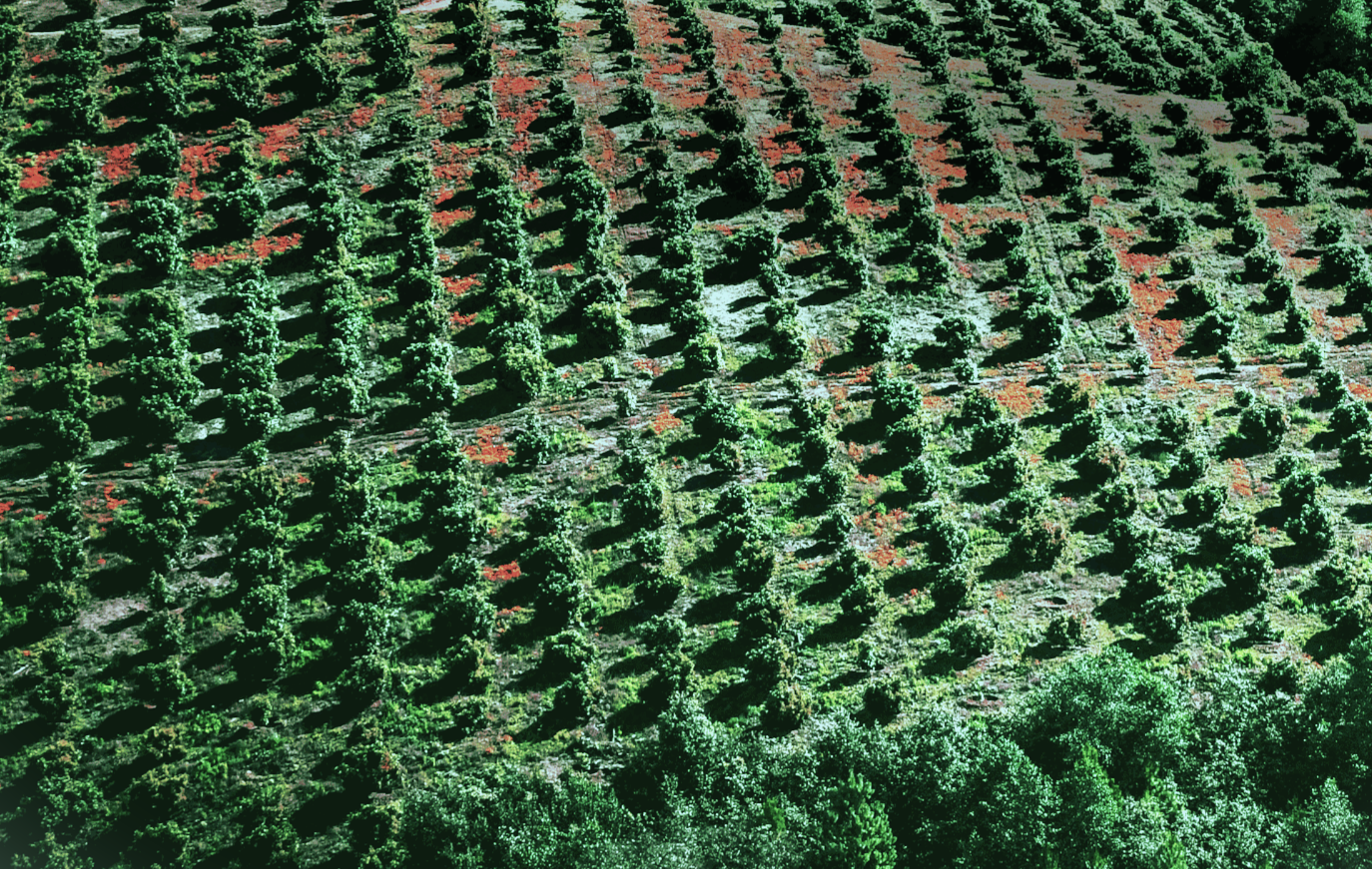 Farmland Investing: The Institutional Investment Case