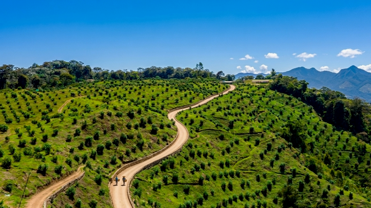 ASYMMETRICA INVESTMENT AG  _FARMLAND