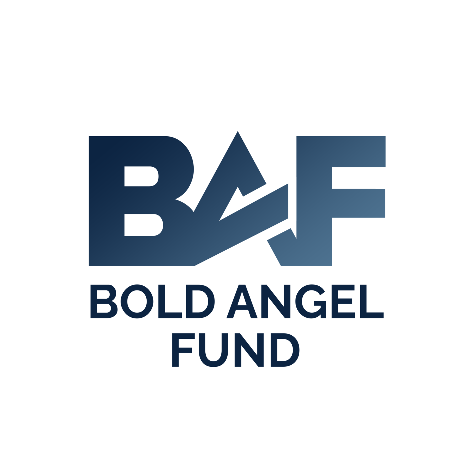 Bold Angel Fund