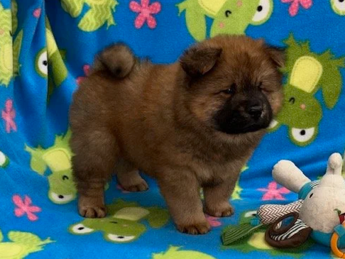 Buddy ..sold going to CA