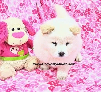 Diamond ..Sold going to Florida