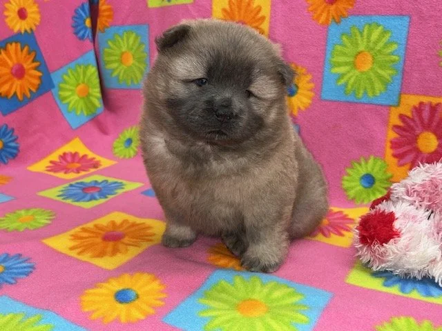 Nyla.. Sold, going to Georgia