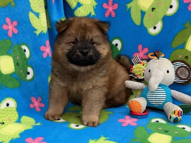 Buddy ..sold going to CA