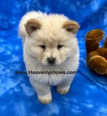 Frosty  .. sold going to NE