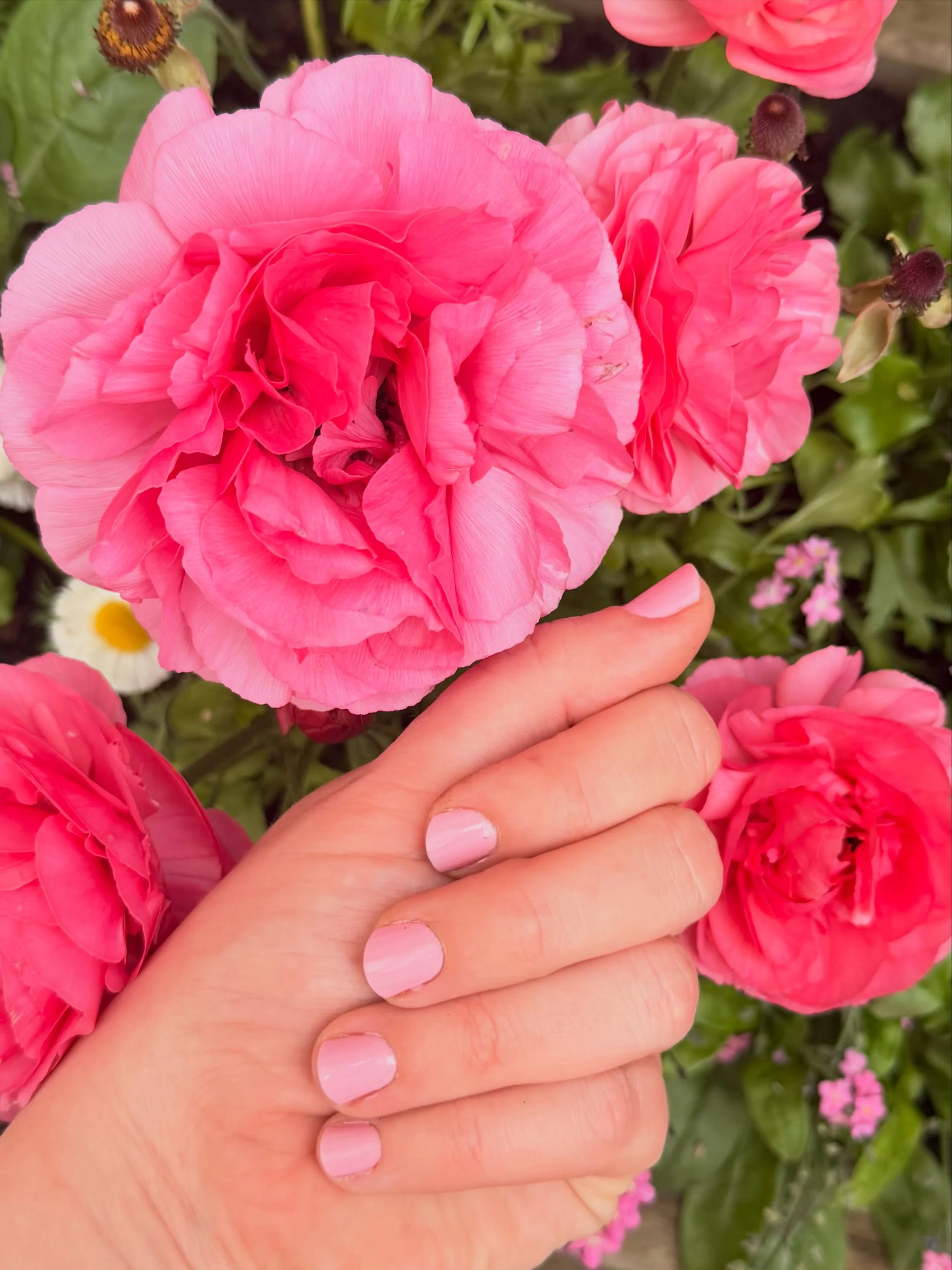 Last year, after having my son, I experienced postpartum depression and anxiety. 

Lately, something has been shifting.

I&rsquo;m wearing more colour, red lippy, pink nails, and I&rsquo;m singing (mostly to Adele) in the car again. Life with two lit