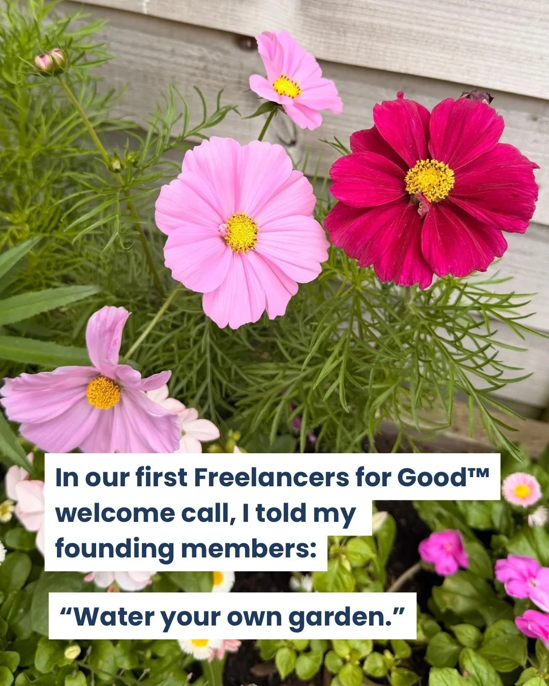 I welcomed my founding-members cohort to my new Freelancers for Good&trade; programme last week, and during our welcome call, I told them to &ldquo;water your own garden&rdquo;.

Because as charity freelancers, it&rsquo;s very easy to spend all your 
