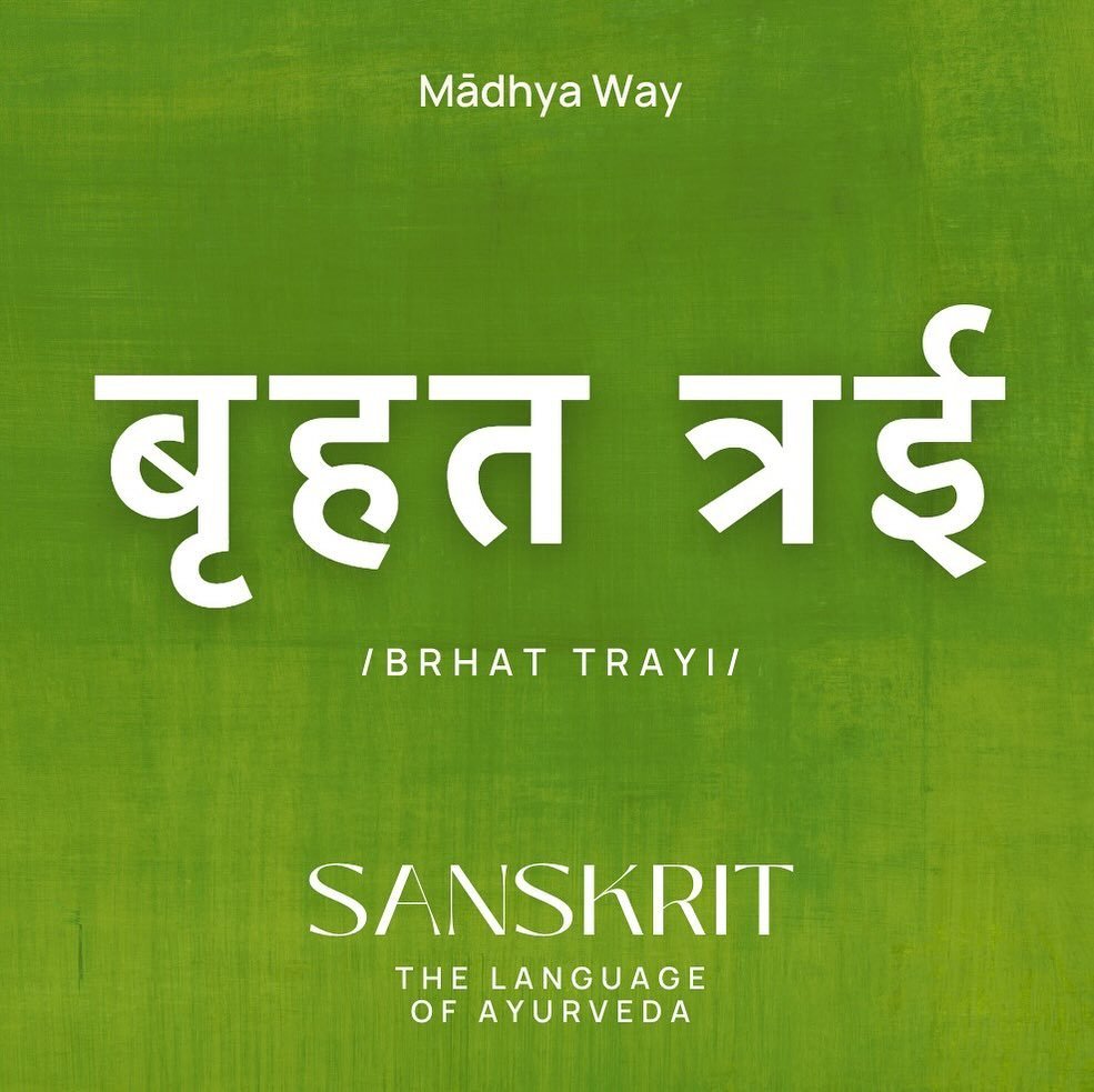 In Ayurveda, the Brhat Trayi refers to the three primary classical texts that form the foundation of traditional Ayurvedic knowledge. These texts are considered fundamental and authoritative sources in Ayurvedic medicine. Swipe to learn a bit about e