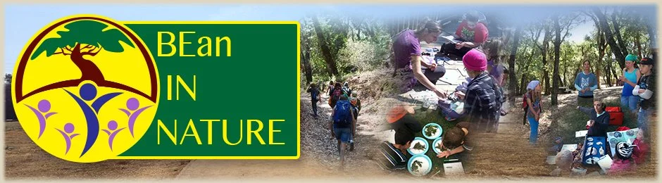 2026 SUMMER CAMP GROWTH