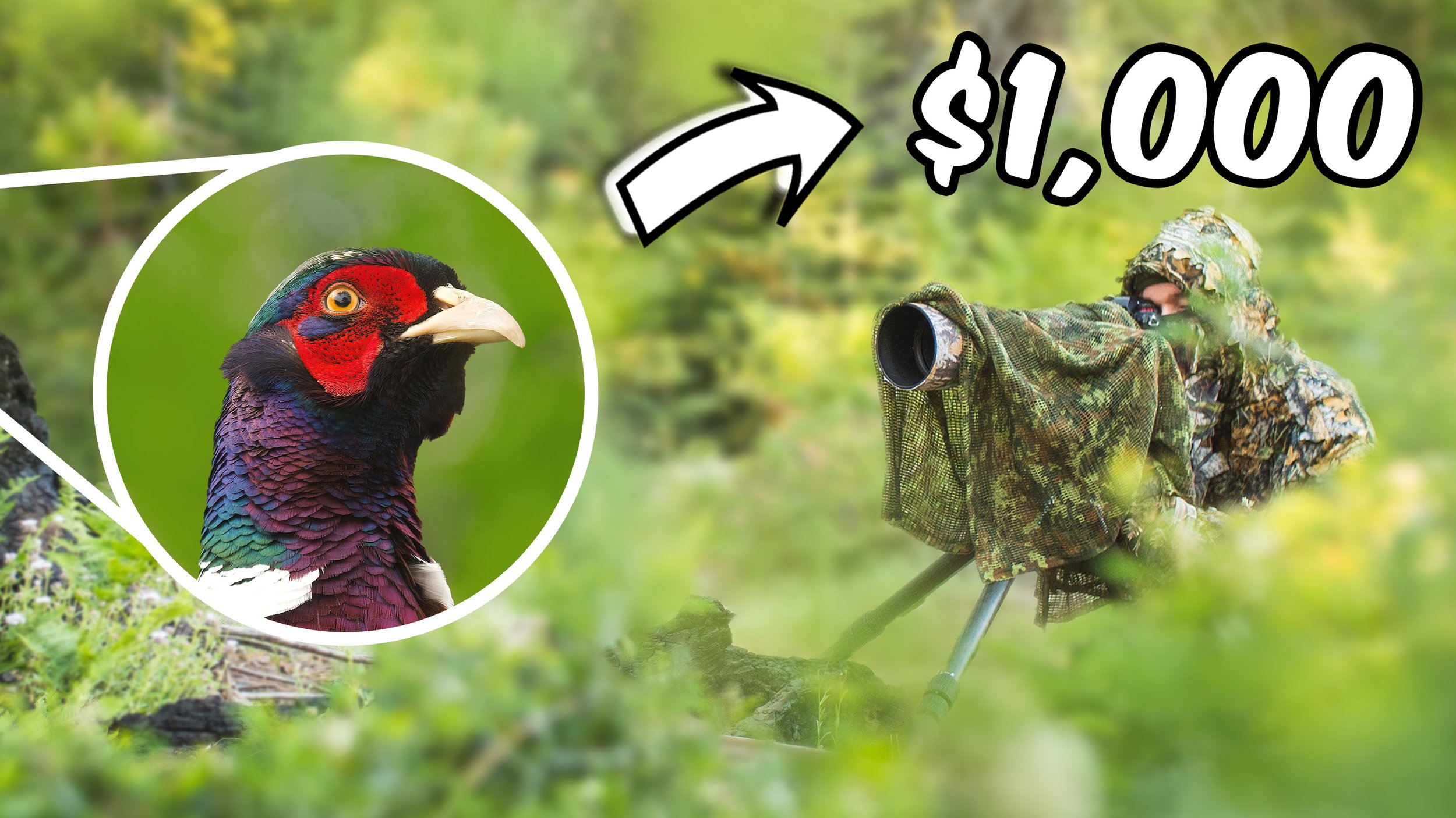 Submit Your Images, Win $1,000