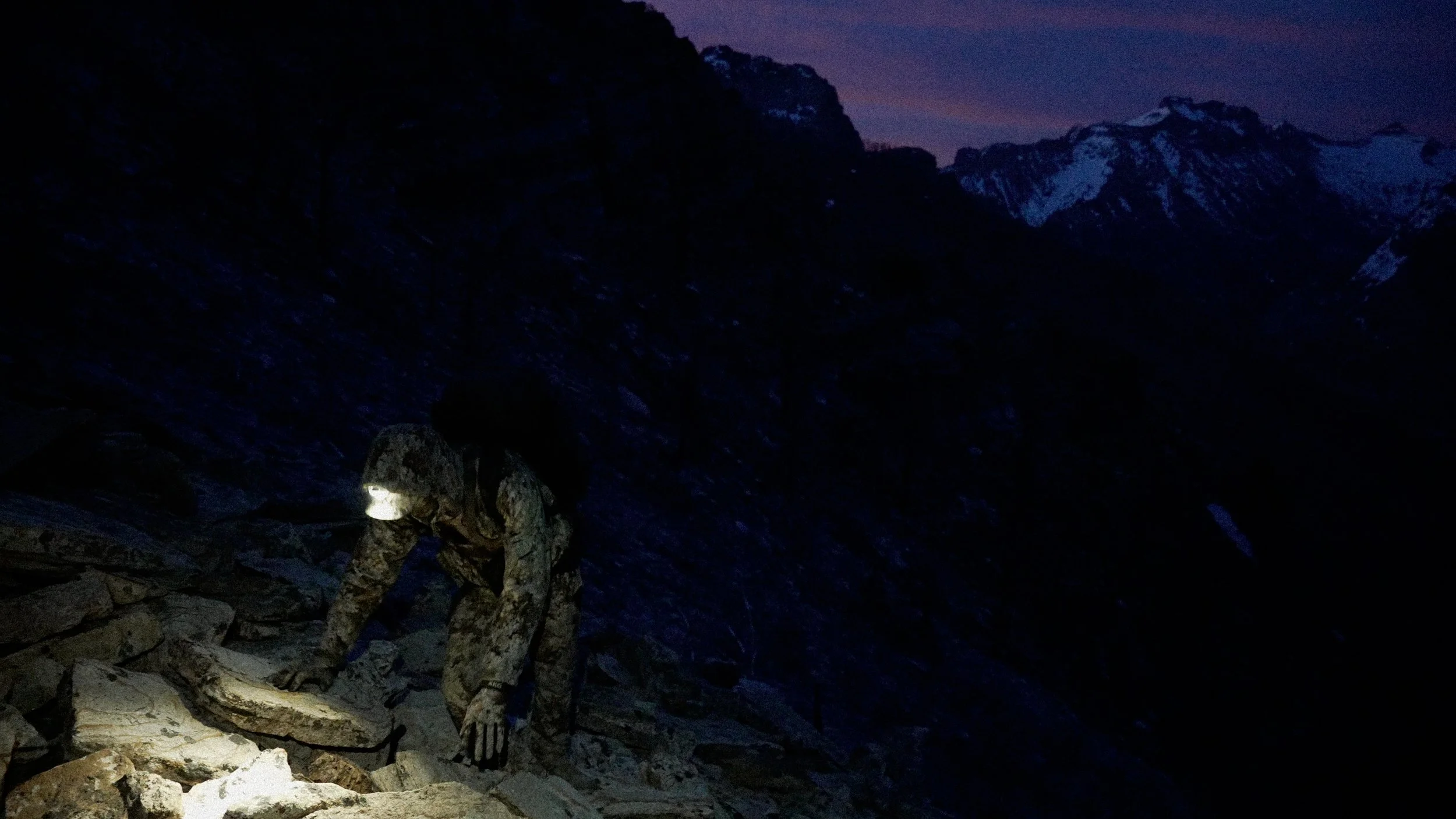 Himalayan Snowcock Screenshot 1.jpg