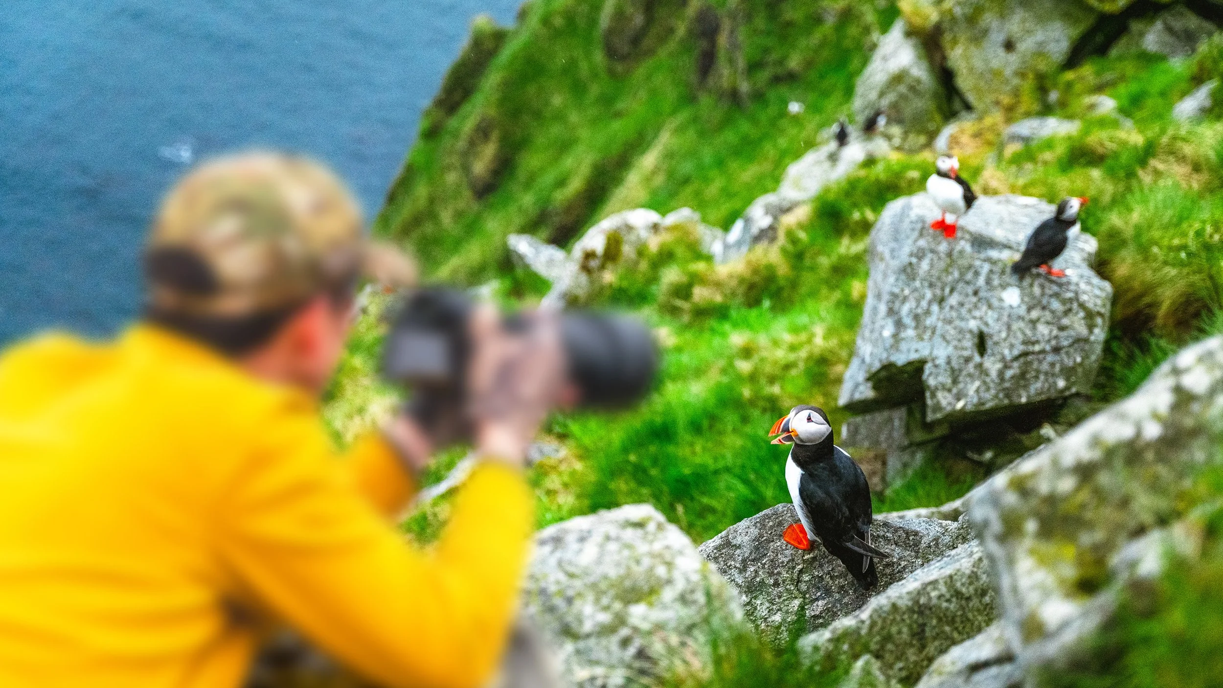 Norway Thumbnail B1.jpg