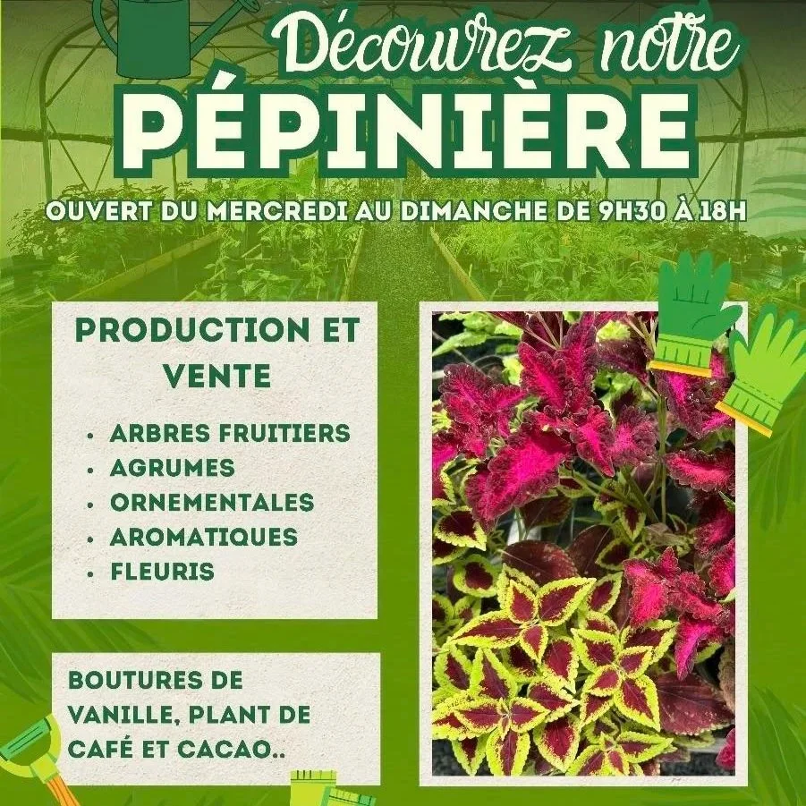 La pépinière du Parc de La Source : plantes, saveurs et nature en Guadeloupe.